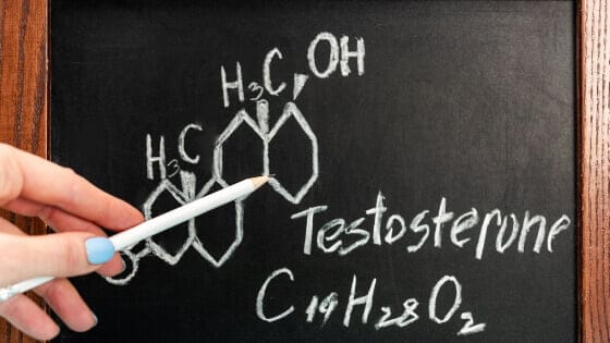 testosterone