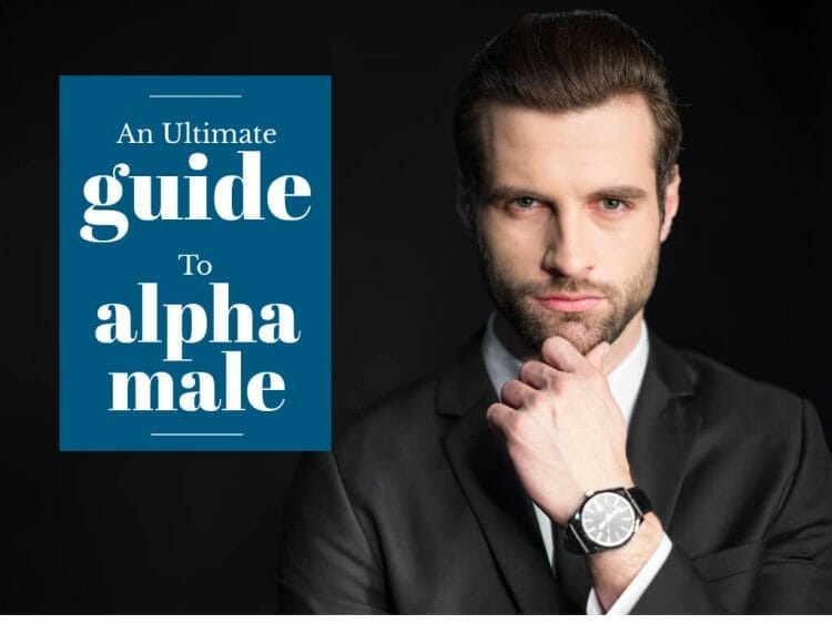 what is an alpha male