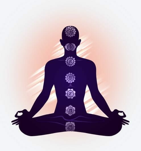 How Bio Energy Code Works